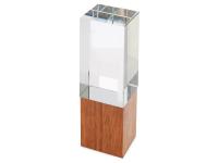 Каталог Награда Wood and glass от интернет-магазина «7 Сувениров»