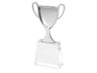 Каталог Кубок Champion от интернет-магазина «7 Сувениров»