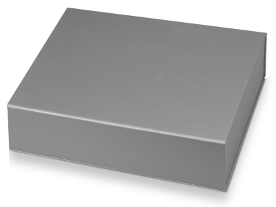Подарочная коробка Giftbox средняя, серебристый